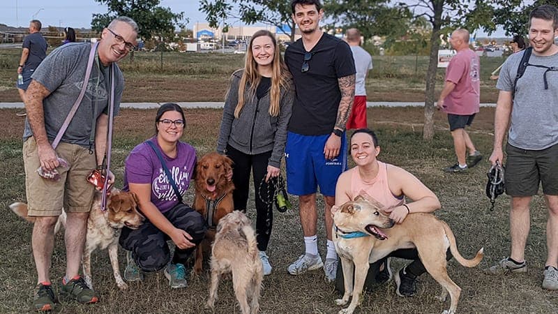 Several employees meeting up with their dogs at a dog park