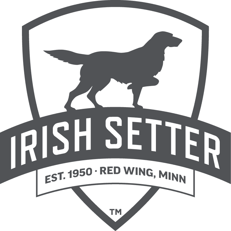 Irish Setter