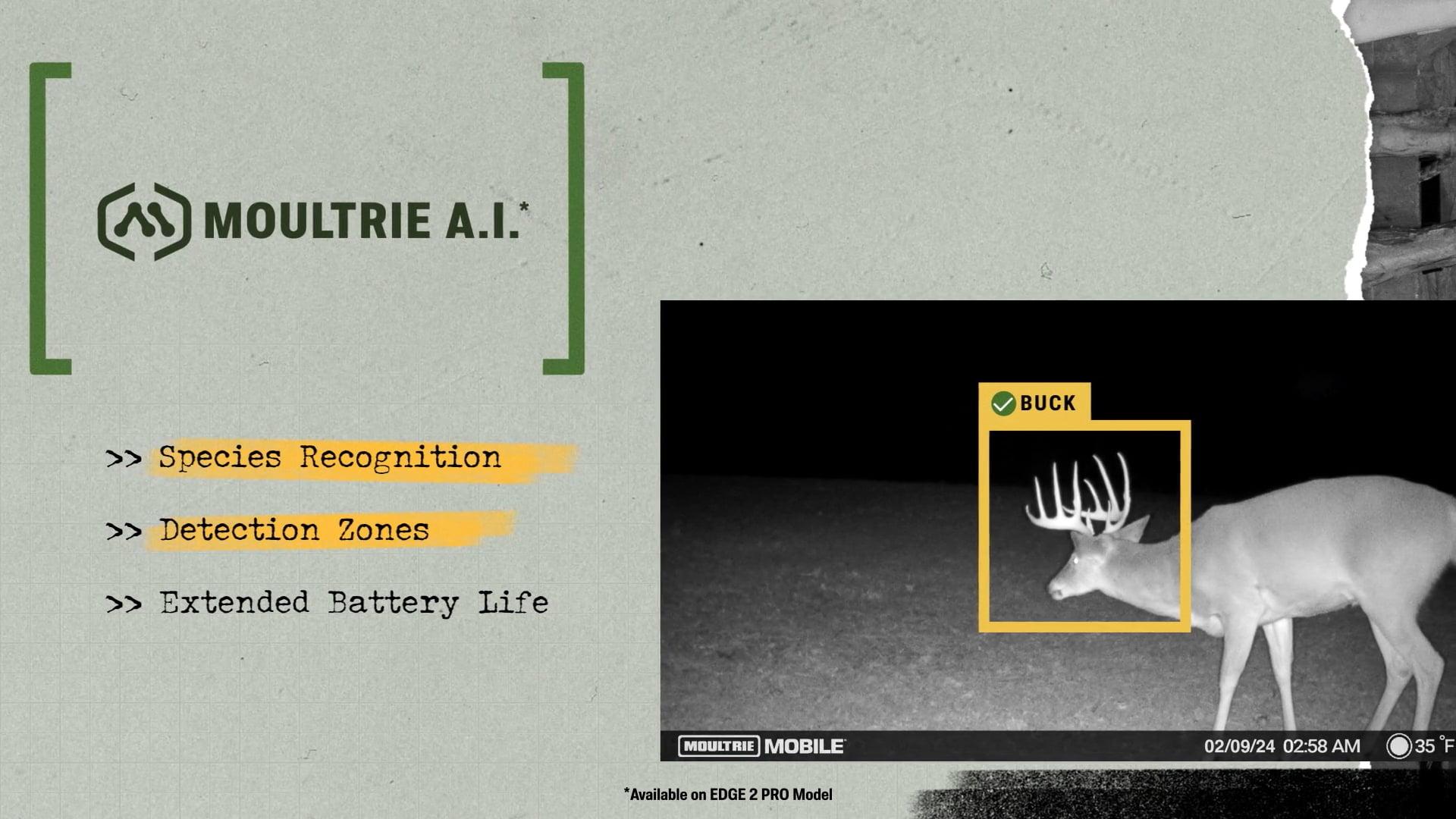 Vimeo Video 1151700170