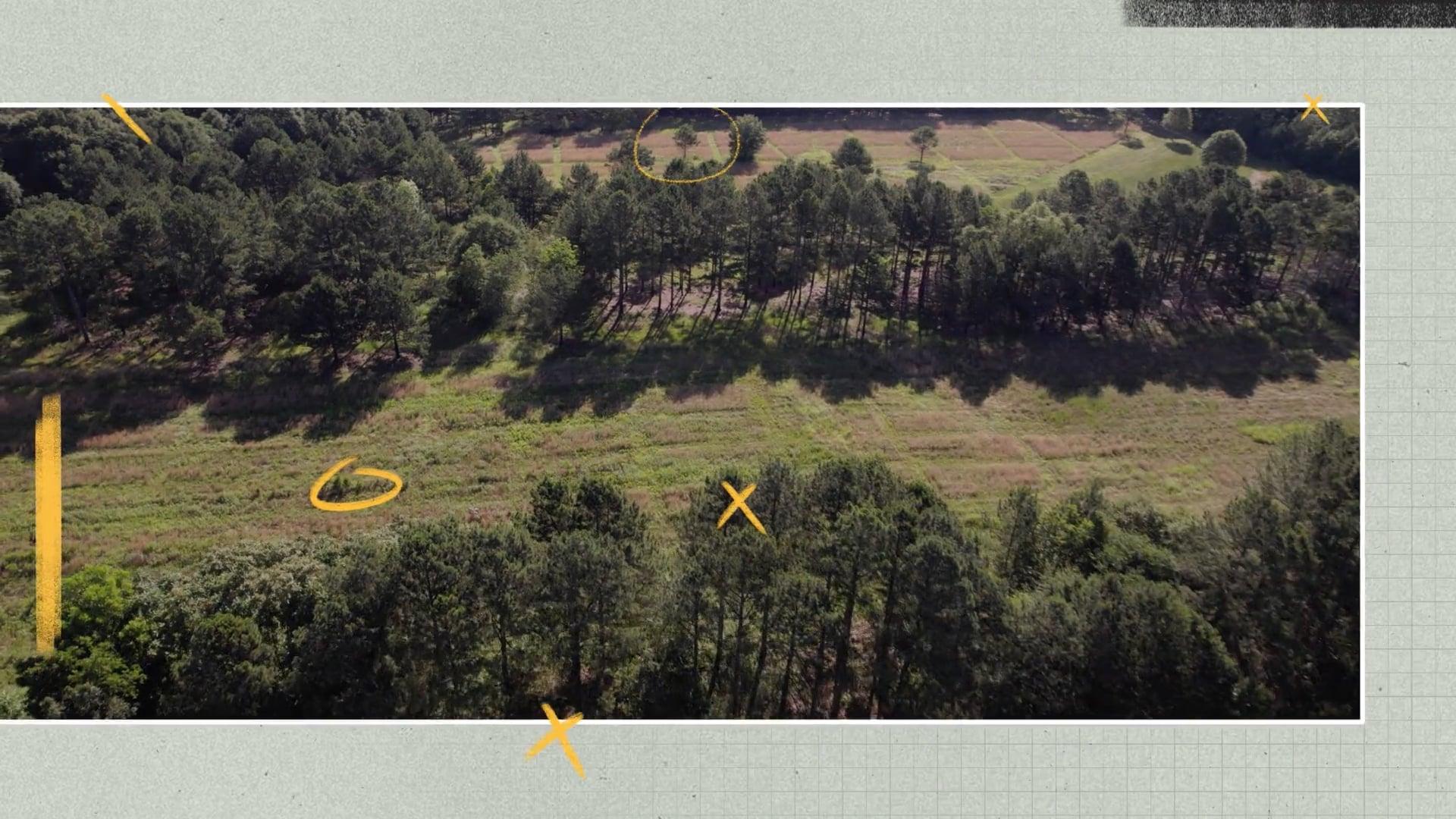 Vimeo Video 1151700271