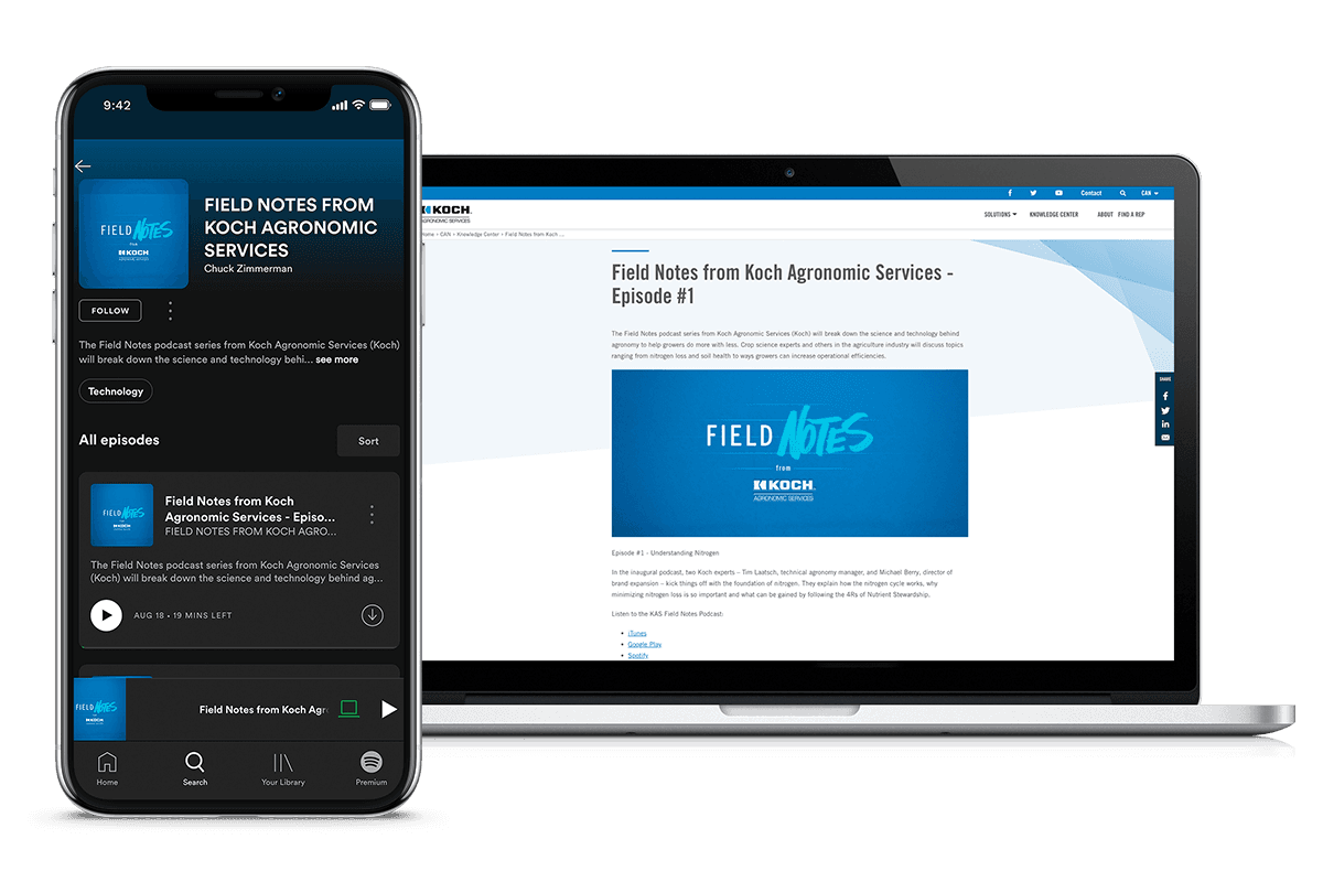 Web Mockup