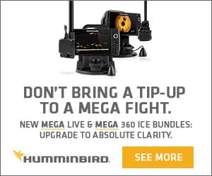 Humminbird Mega ICE digital ad example