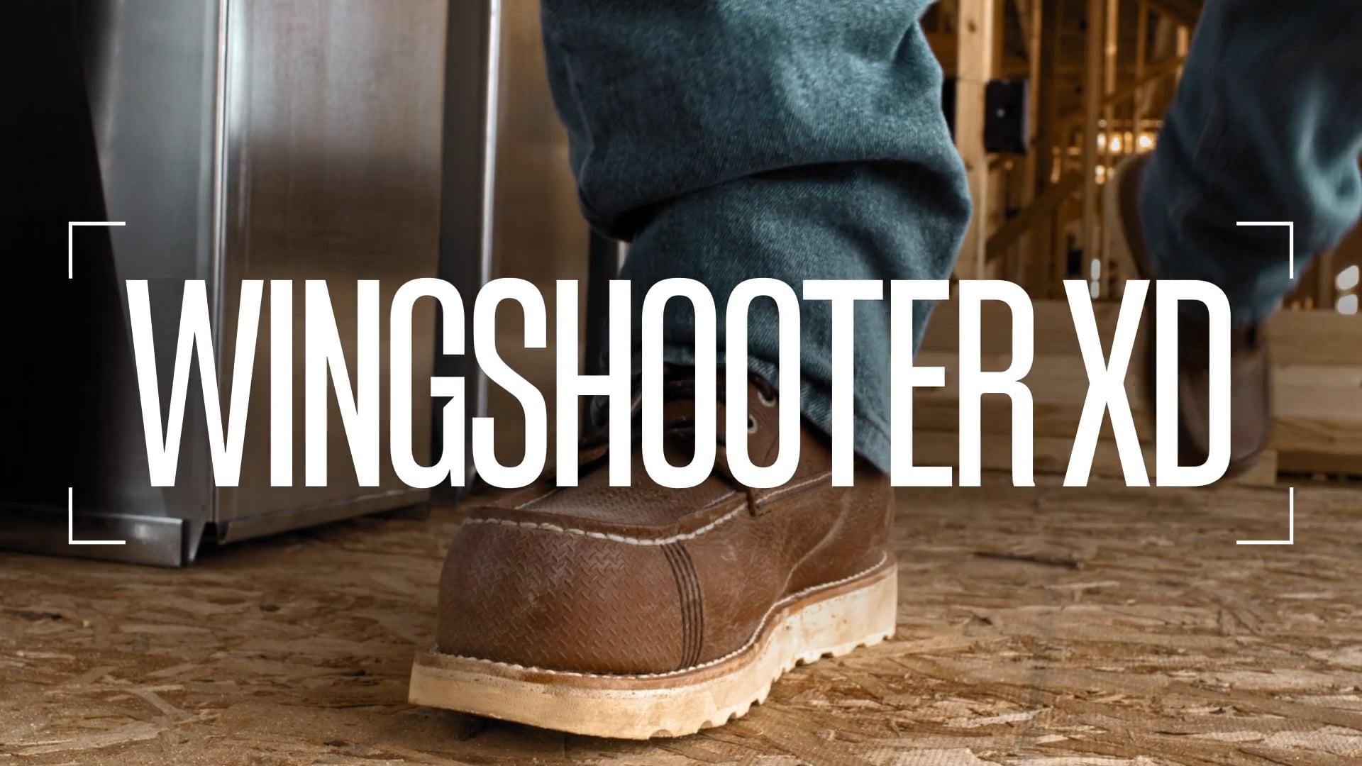 Vimeo Video 1125679257