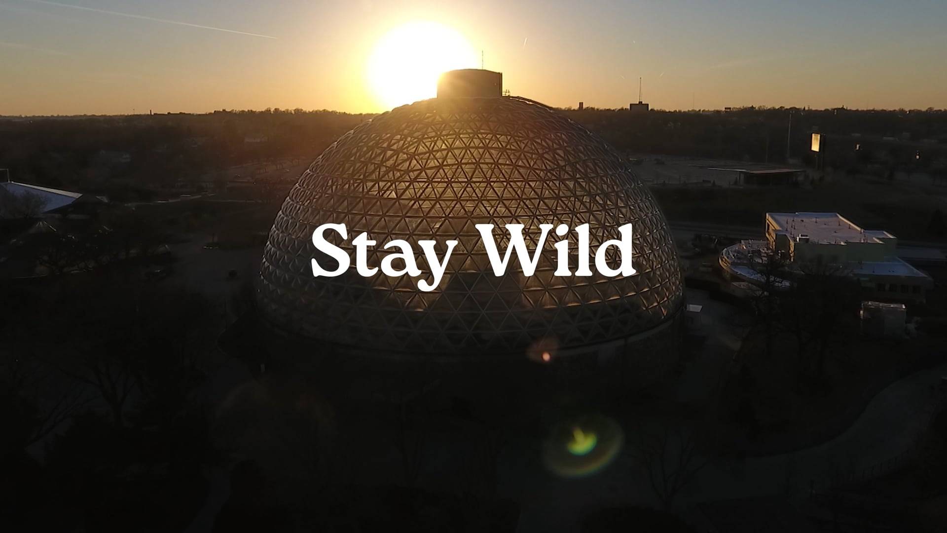 Vimeo Video 1188241831