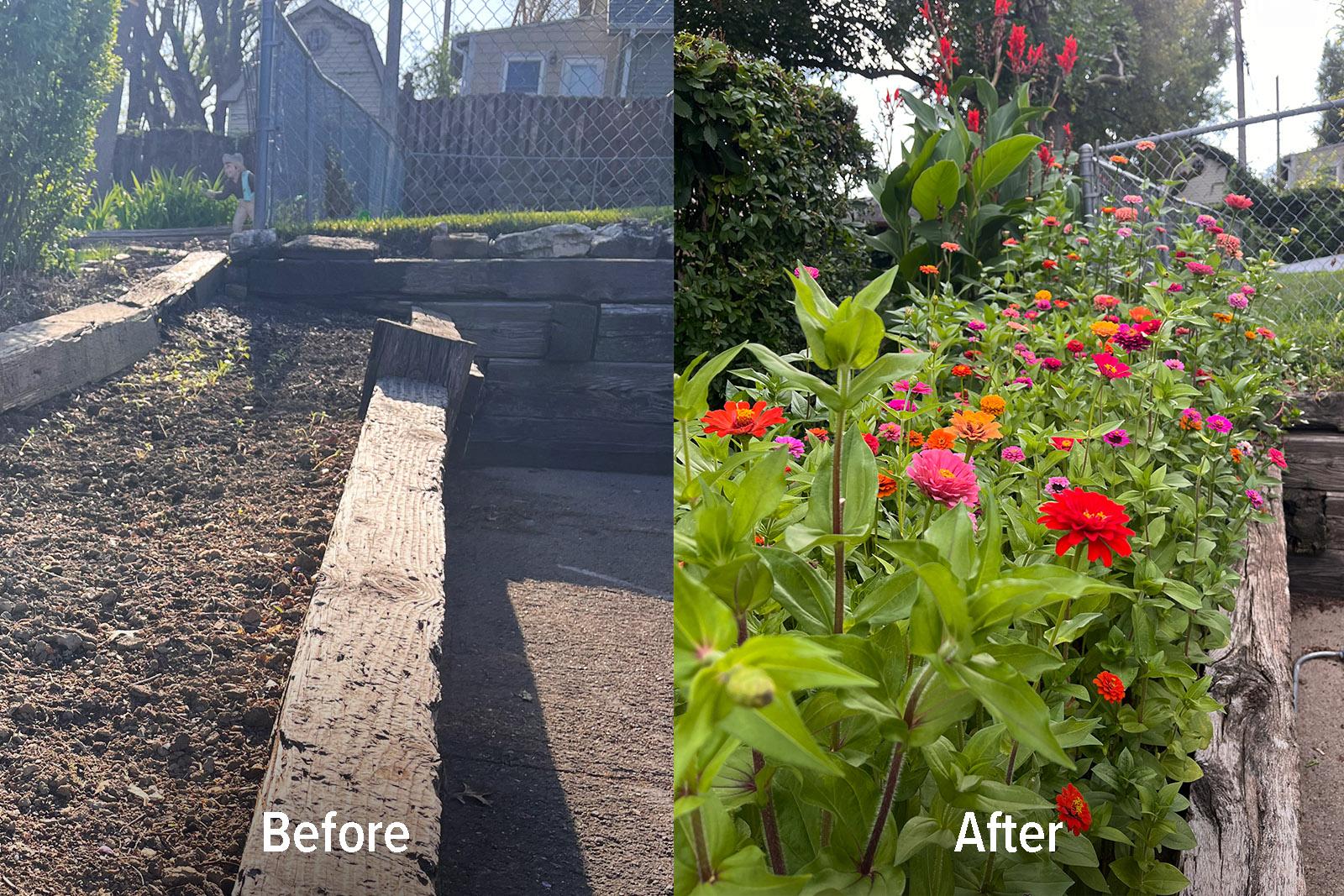 Flower Bed