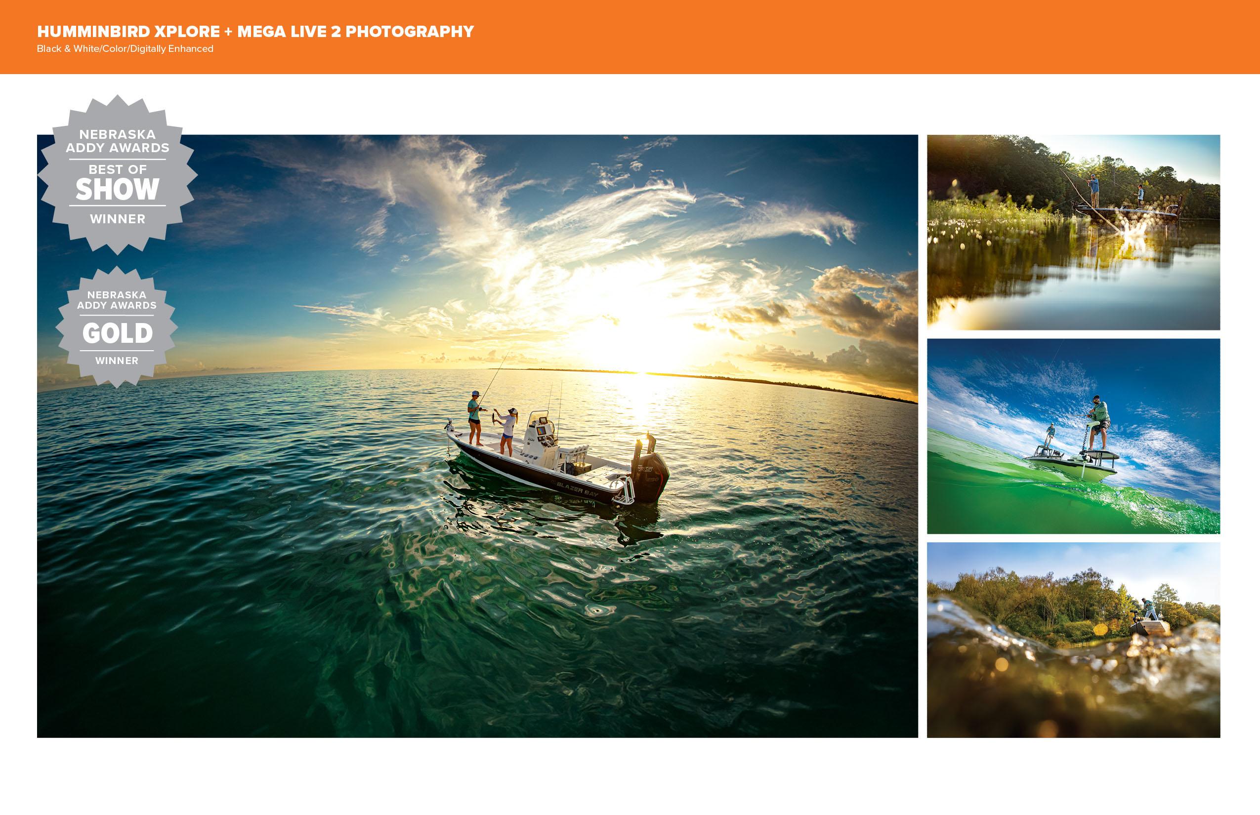 2025 ADDY Awards Showcase