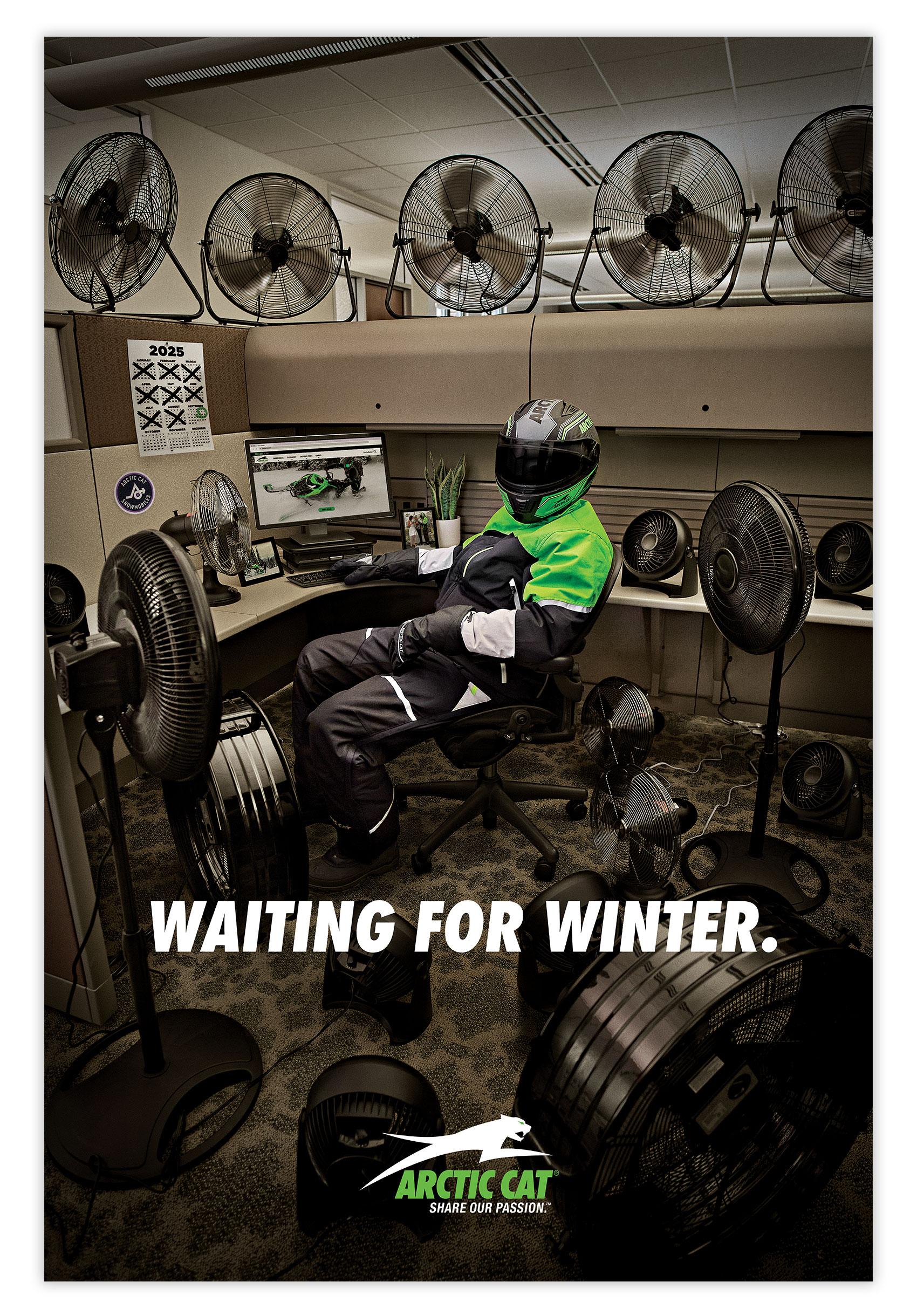 Arctic Cat Waiting for Winter Poster