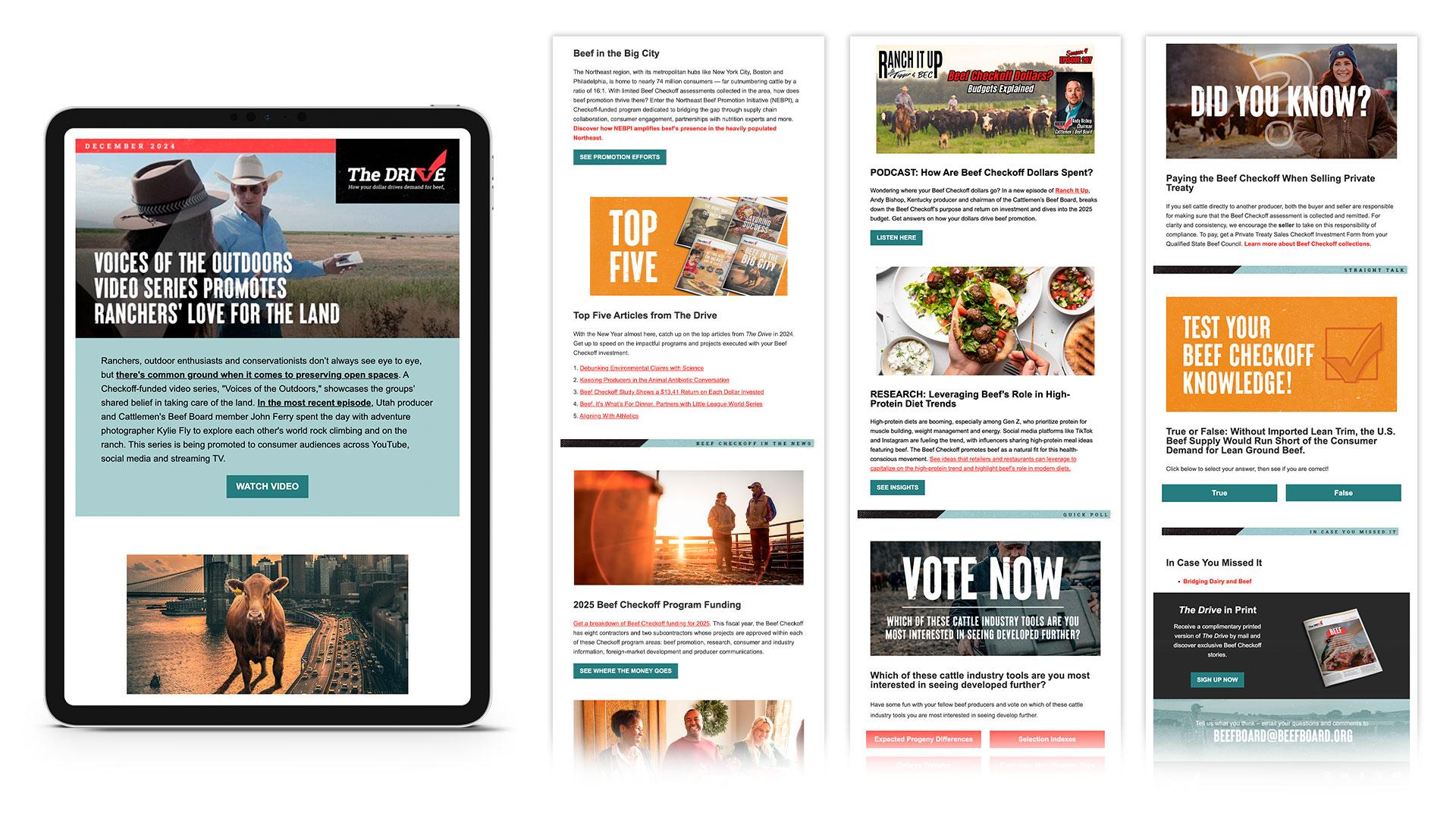 Cattlemen's Beef Board The Drive eNewsletter