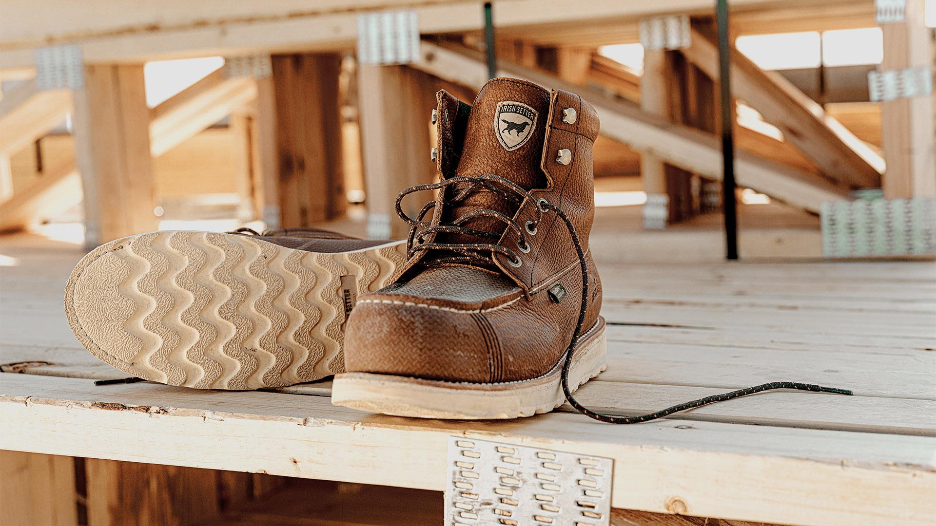 Irish Setter The Toe That Won't Take No Photography 1