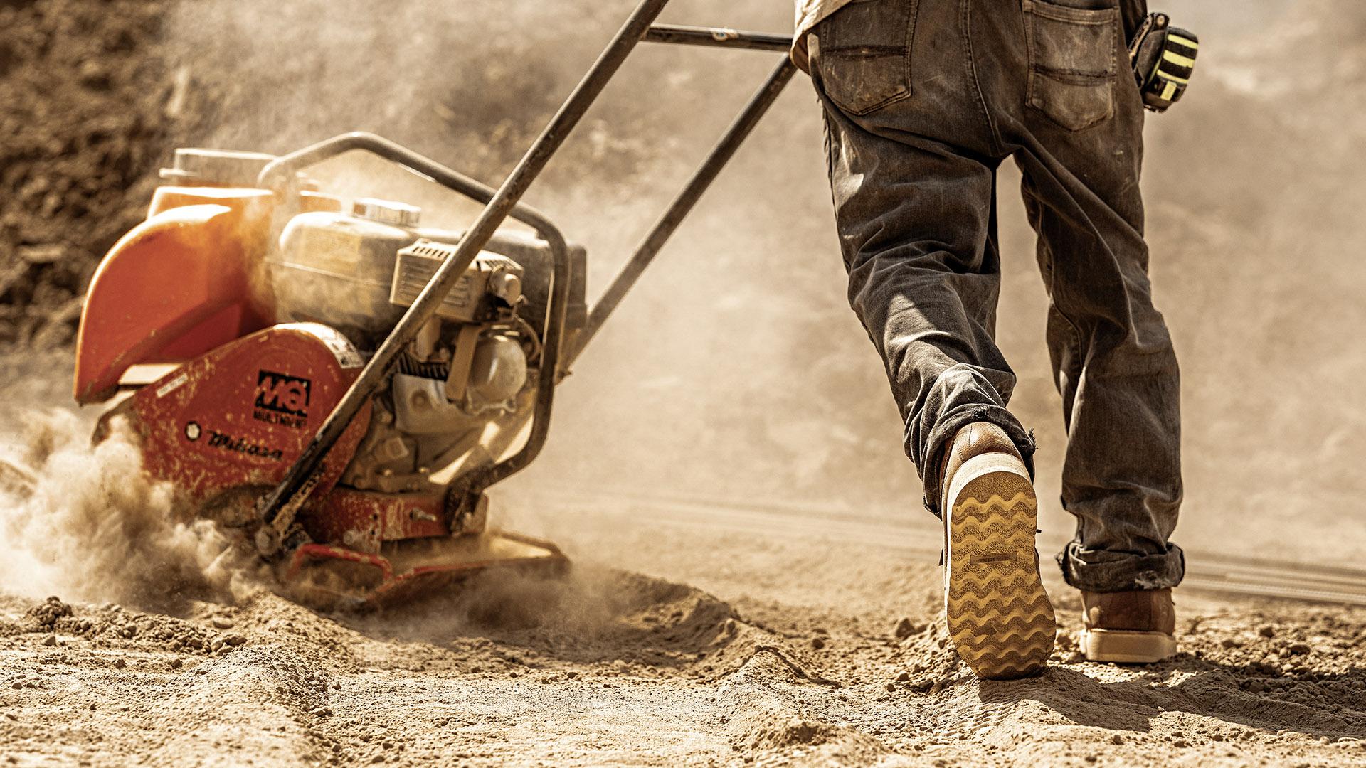 Irish Setter The Toe That Won't Take No Photography 2