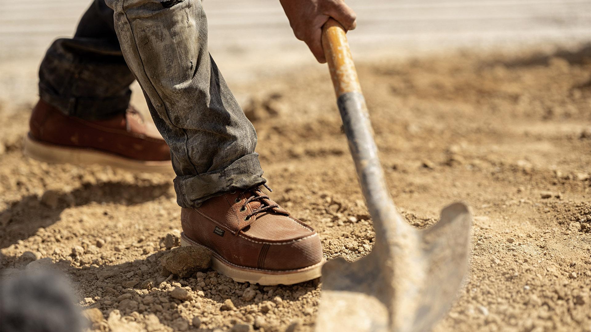 Irish Setter The Toe That Won't Take No Photography 4