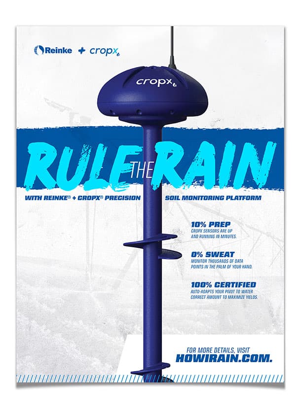 Reinke rule the rain cropx poster