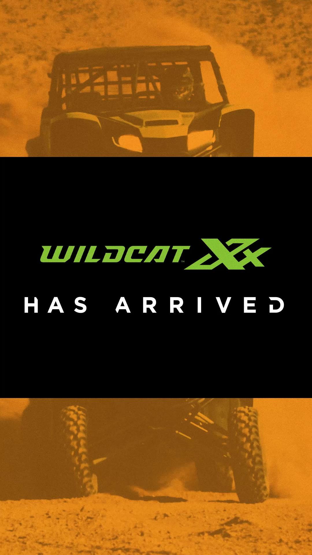 Wildcat XX Social Content