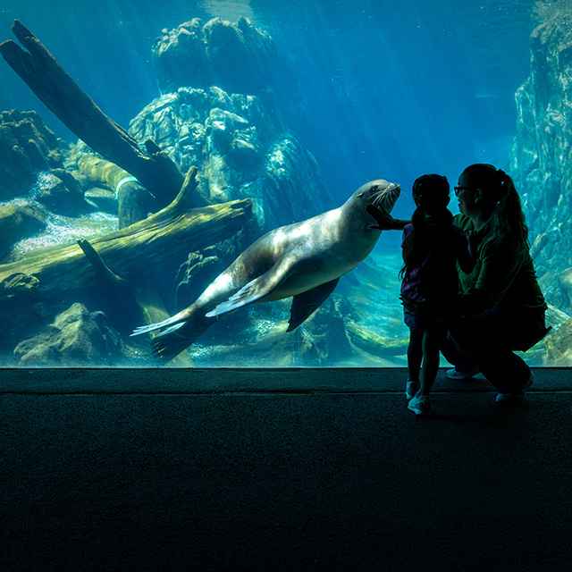 Omaha Zoo teaser