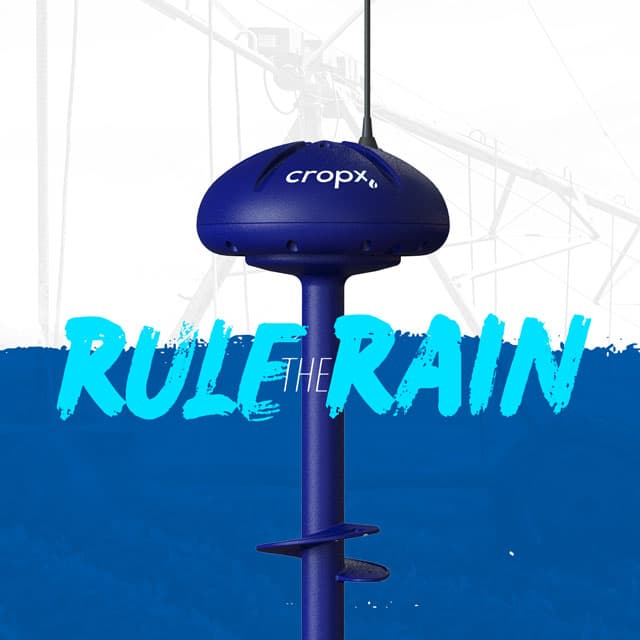 Rule the Rain