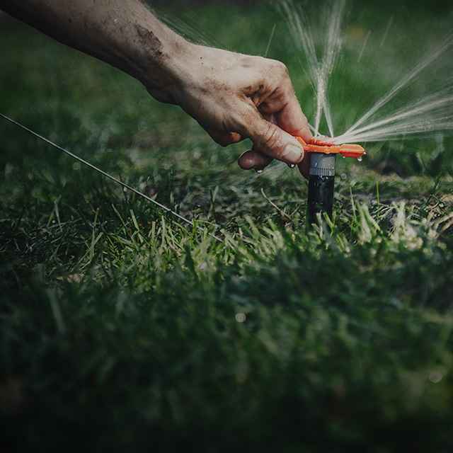 SiteOne PROmentum teaser